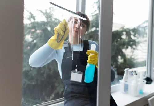 Nettoyage de vitres intérieures et extérieures à Messé